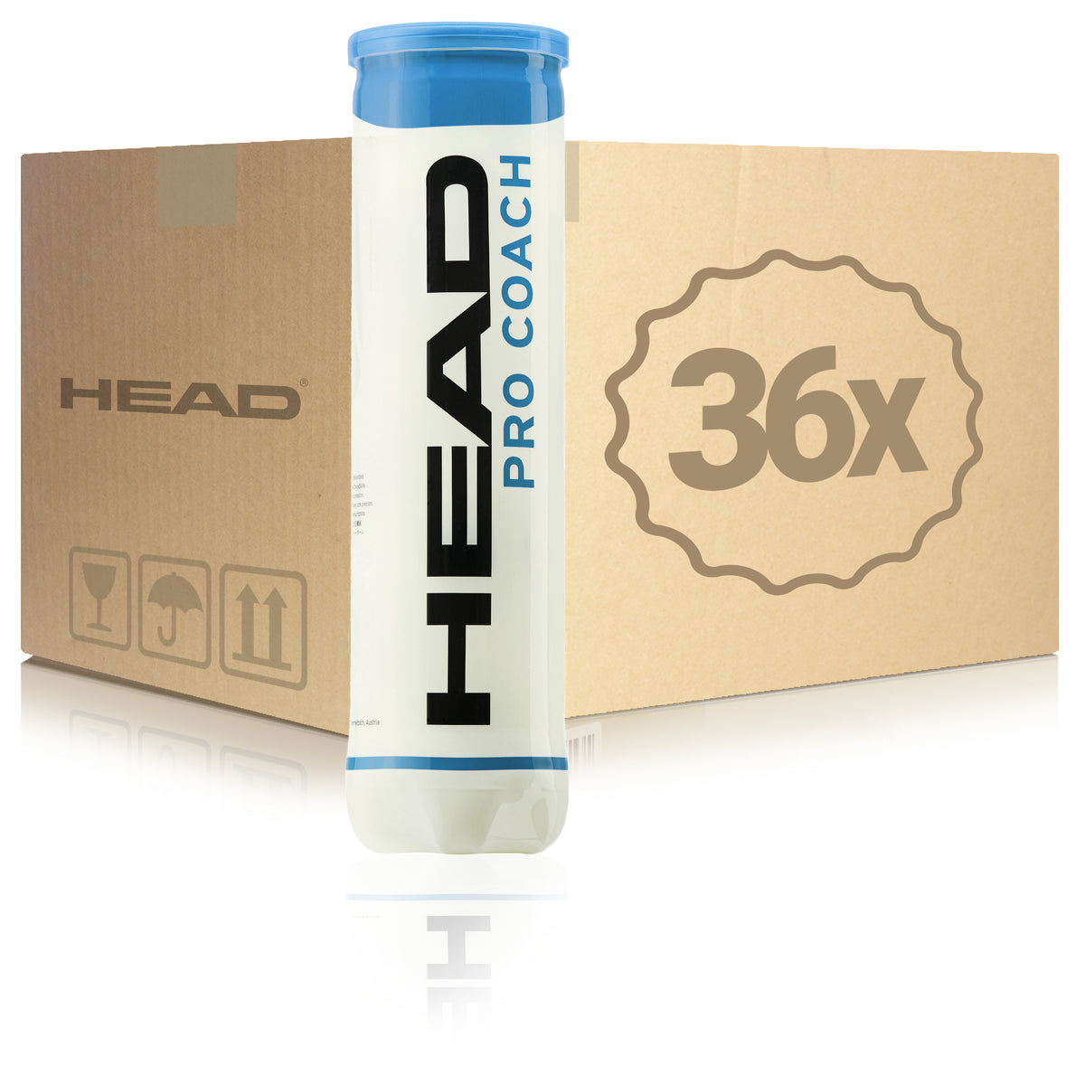HEAD 36x 4er Dose Pro Coach im Karton HEAD 36x 4er Dose Pro Coach im Karton