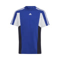 blau_5727