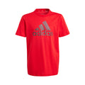 Big Logo T-Shirt Jungen - rot, schwarz
