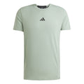 D4T T-Shirt Herren - salbei,
