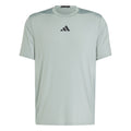 D4T Intensity T-Shirt Herren - salbei,