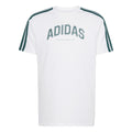 Graphic T-Shirt Herren-Weiß,Grün
