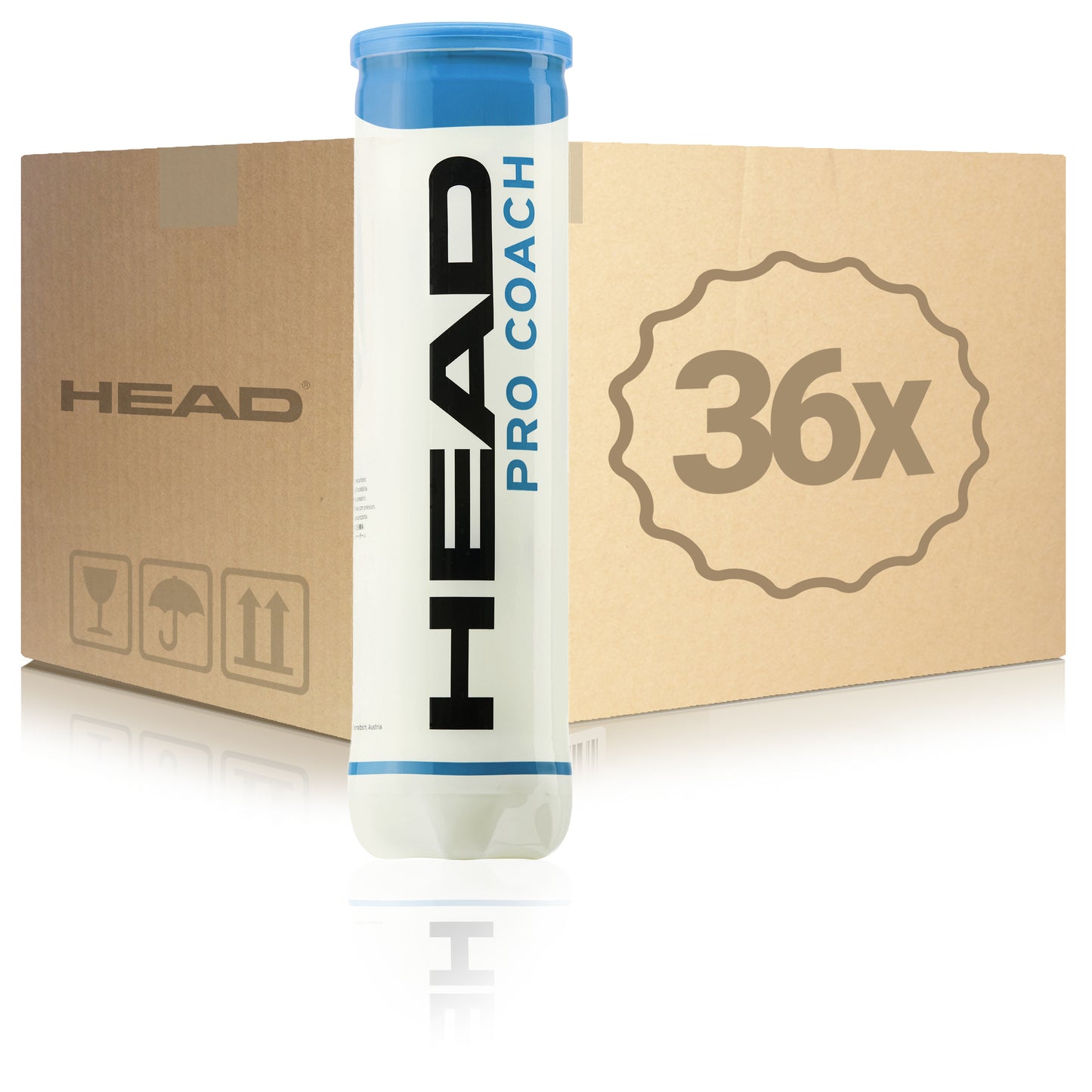 HEAD 36x 4er Dose Pro Coach im Karton