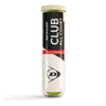 Club All Court 4er Dose
