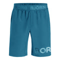 Borg Shorts Herren - blau,