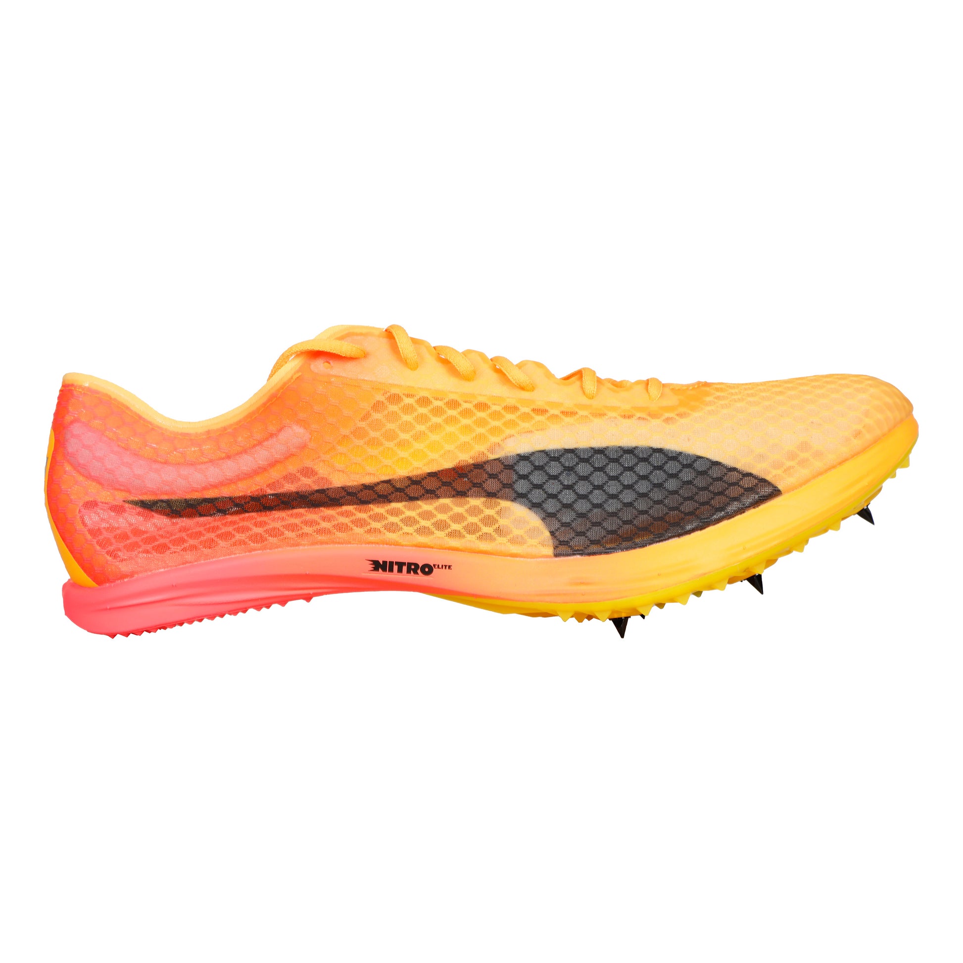 Puma EvoSPEED Distance Nitro Elite+ 4 Spikeschuh-Orange,Schwarz