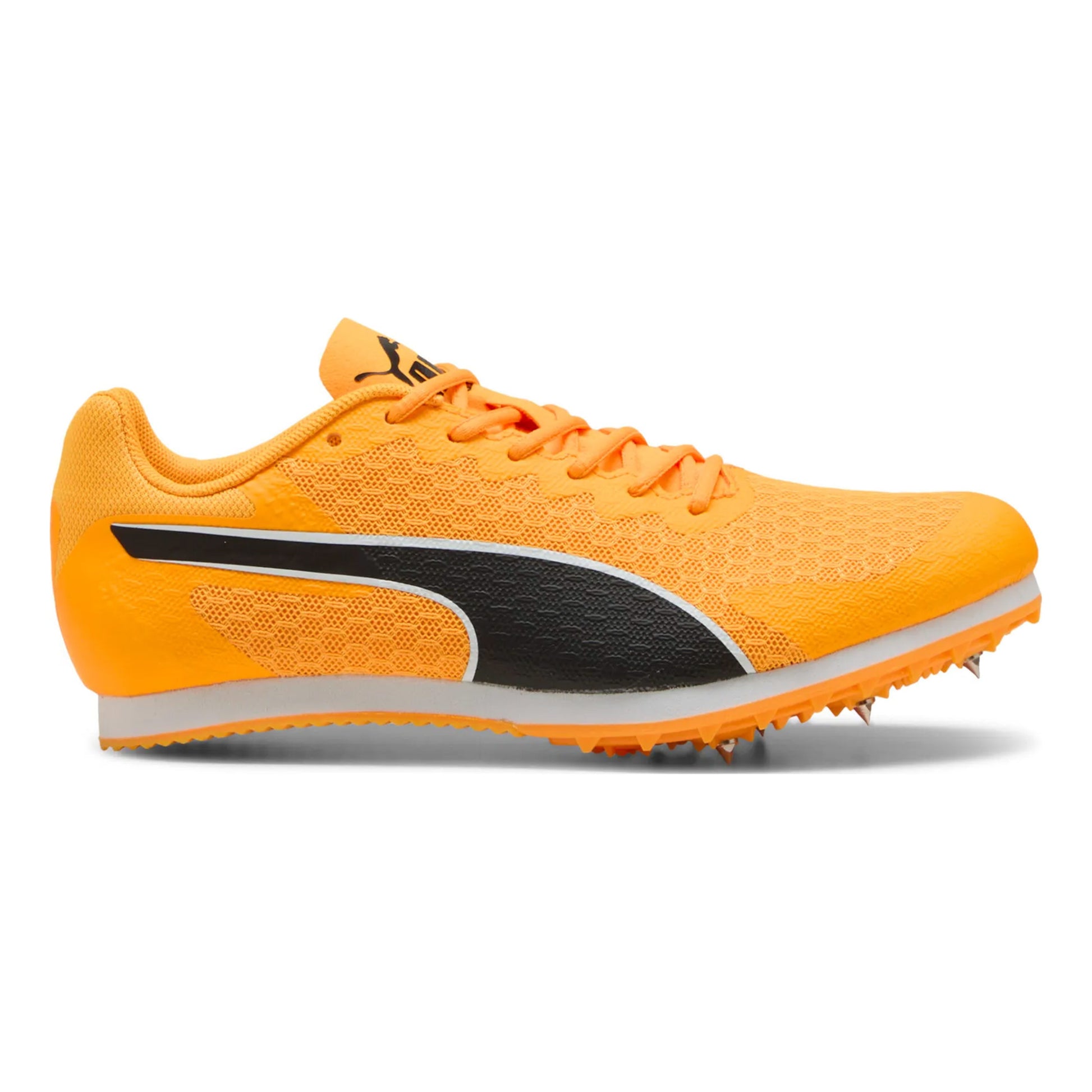 Puma evoSPEED Star 9 Spikeschuh Kinder - orange, schwarz