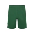 Technical Shorts Herren - grün,