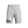 Tech Logo Shorts Jungen-grau, weiß