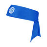 The Aerodynamic Move Bandana-Blau