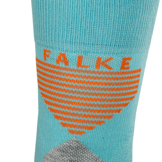 Falke