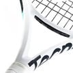 Tecnifibre
