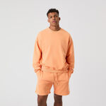 Björn Borg Bekleidung Björn Borg Borg Oversized Washed Sweatshirt Herren-Orange