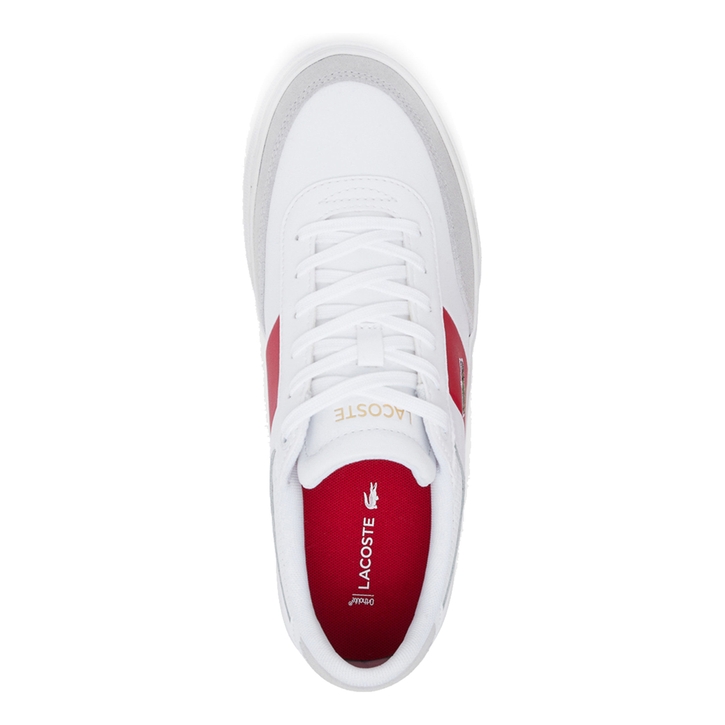 Lacoste court sales master 118