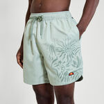Ellesse Bekleidung Ellesse Vaycay Shorts Herren-Salbei