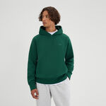 Ellesse Bekleidung Ellesse Madone Hoody Herren - dunkelgrün, 