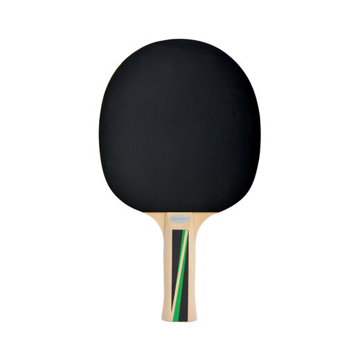 Schildkr&ouml;t Fitness