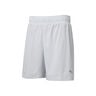 Run Favorite 2in1 Laufshorts Herren-Hellgrau