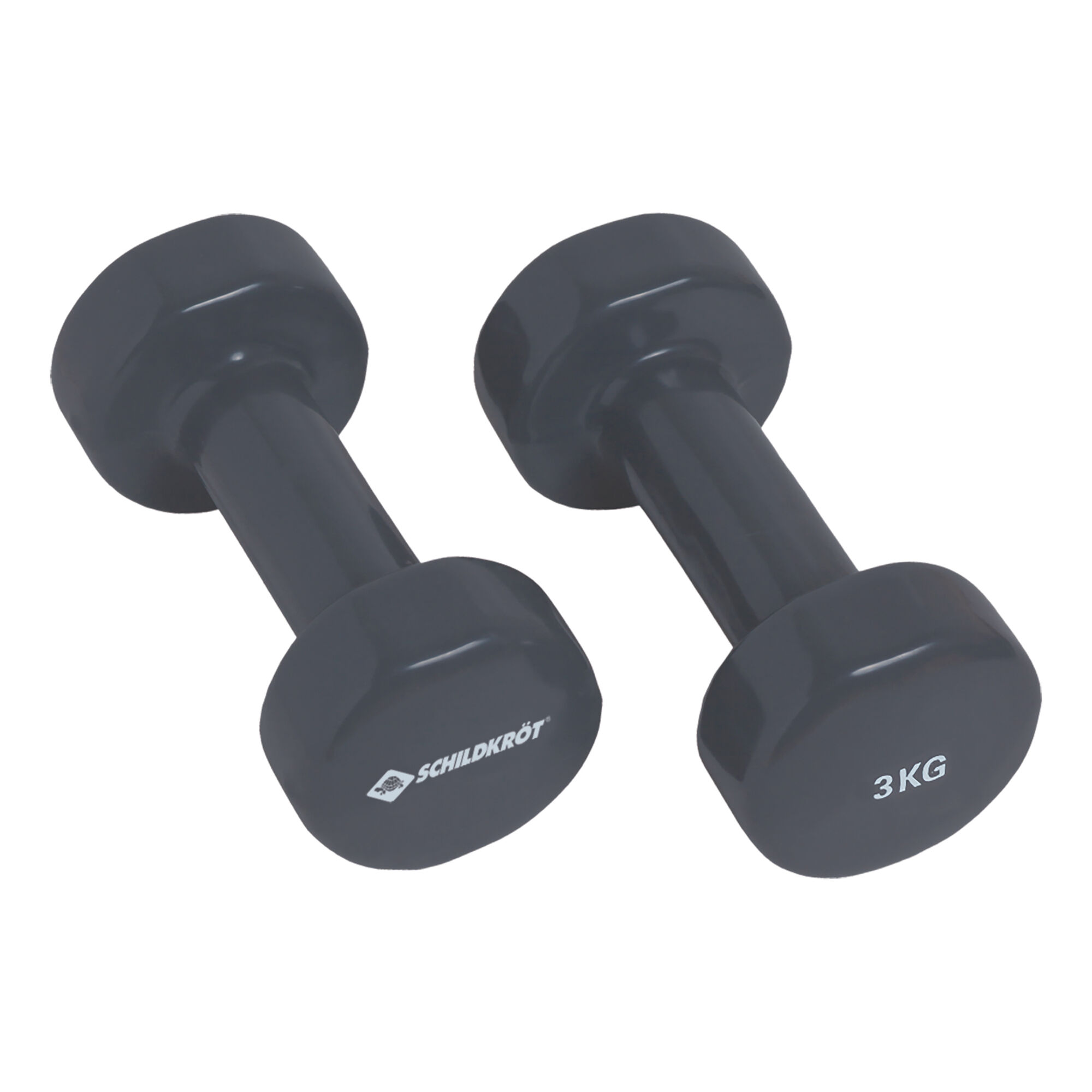 Schildkröt Fitness