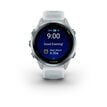 Garmin