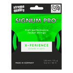 Signum Pro Signum Pro Xperience Saitenset 12m-Neongrün