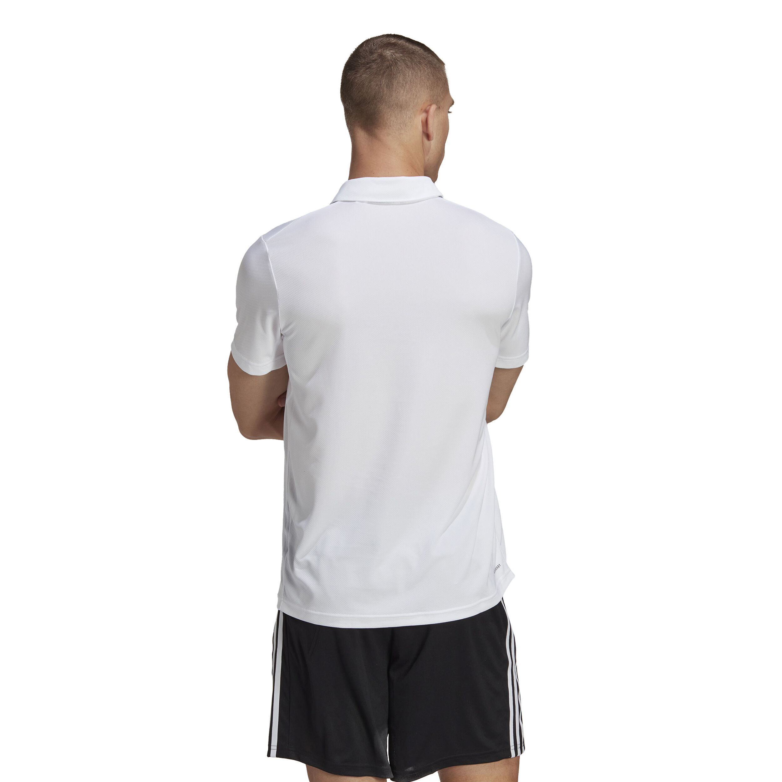 Adidas training polo new arrivals