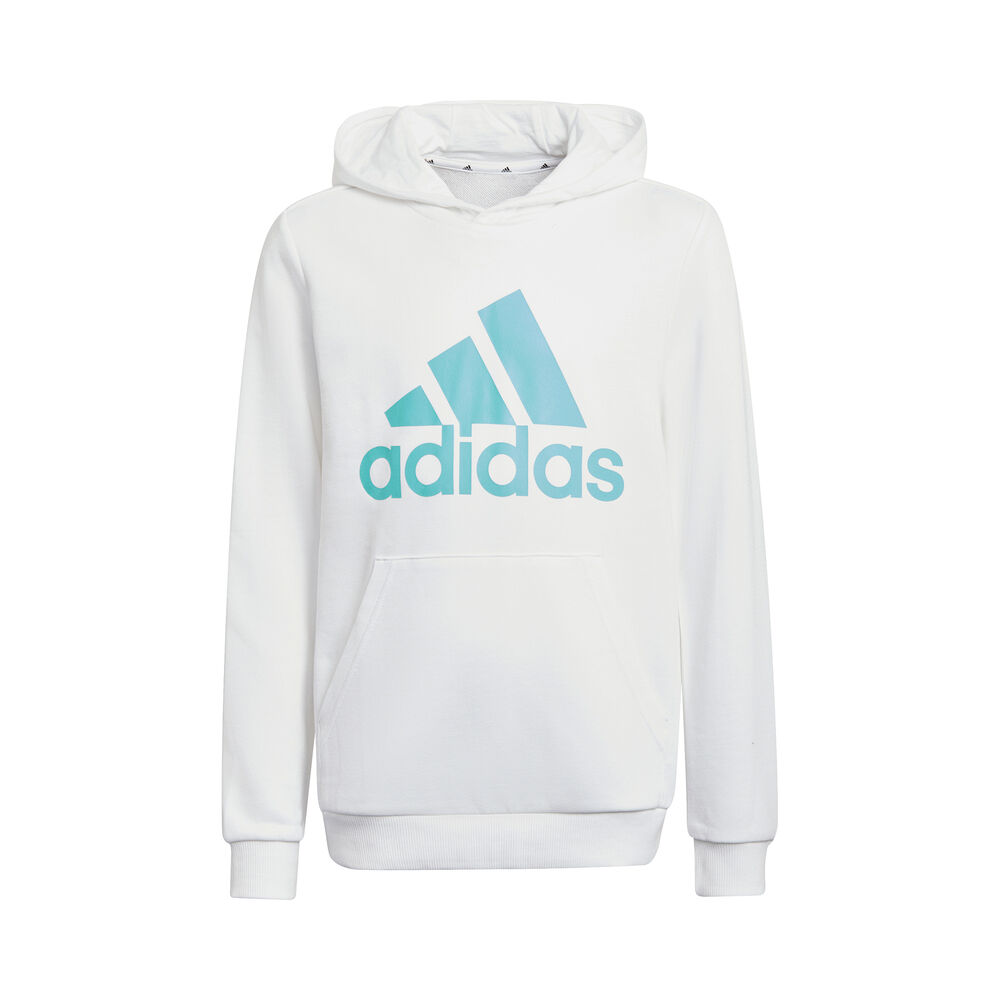 Big Logo Hoody Jungen