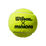 MINIONS CHAMPIONSHIP TENNIS BALLS 3 ball tube 