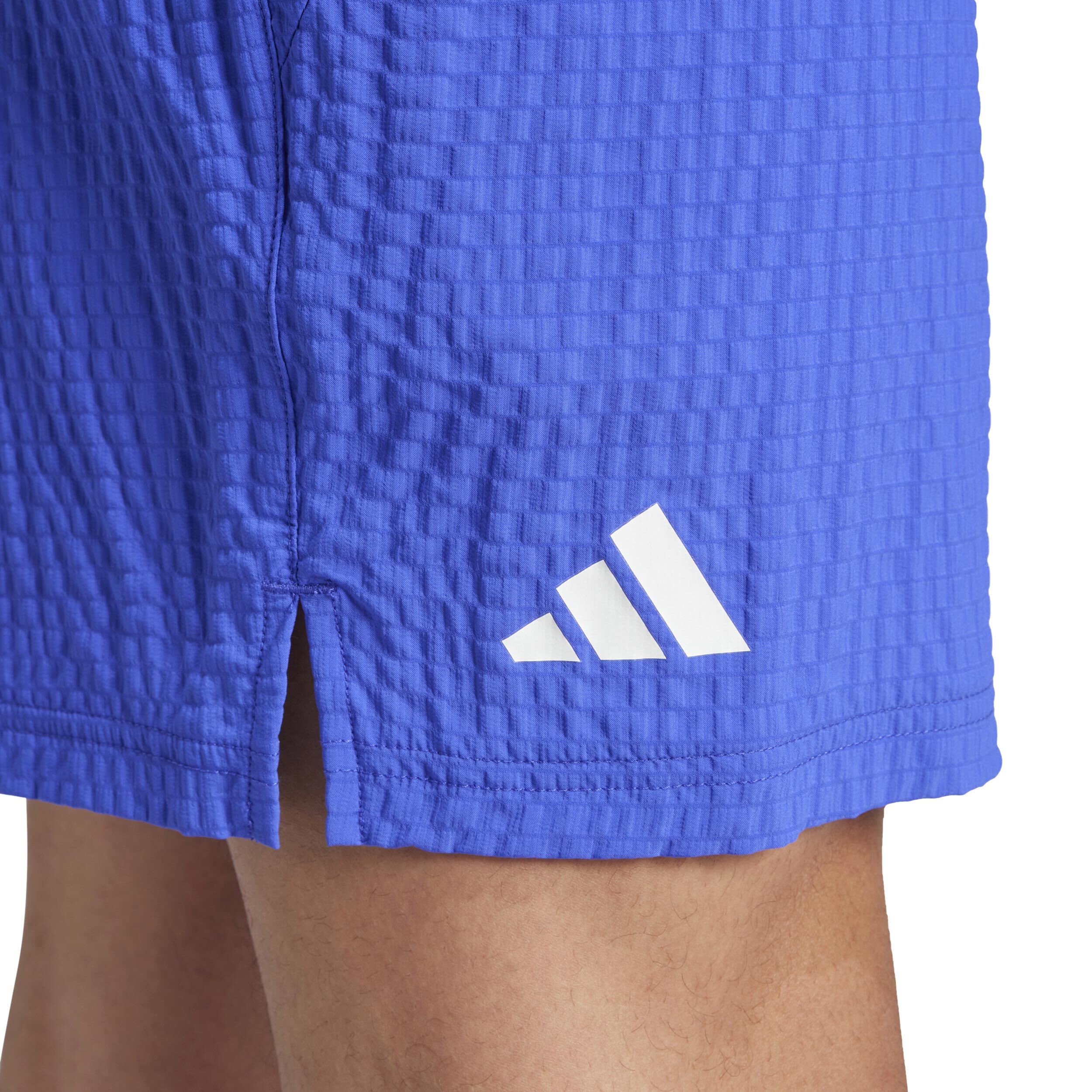 Supernova shorts best sale