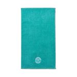 Christy Embroidered Guest Towel - Aqua