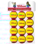 Wilson Starter Red Balls 12er Stage 3