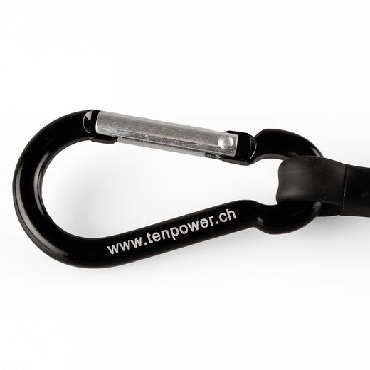 TenPower