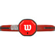 Wilson