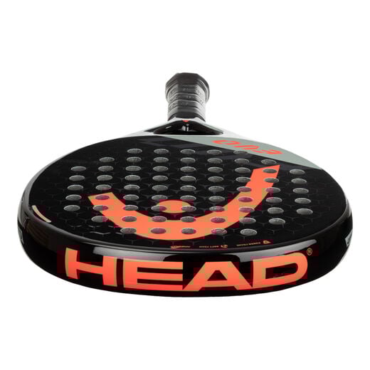 HEAD