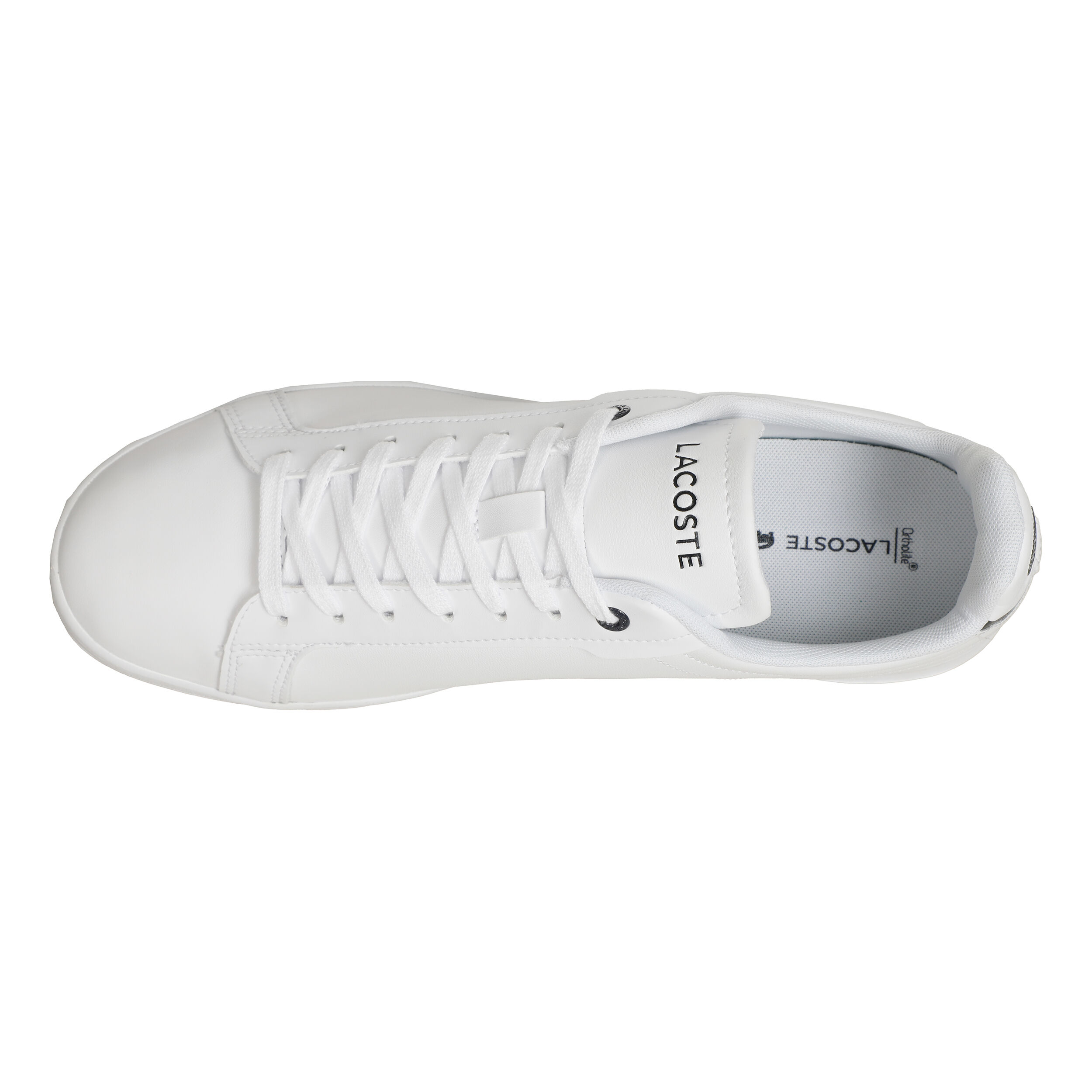 Lacoste carnaby sale outlet