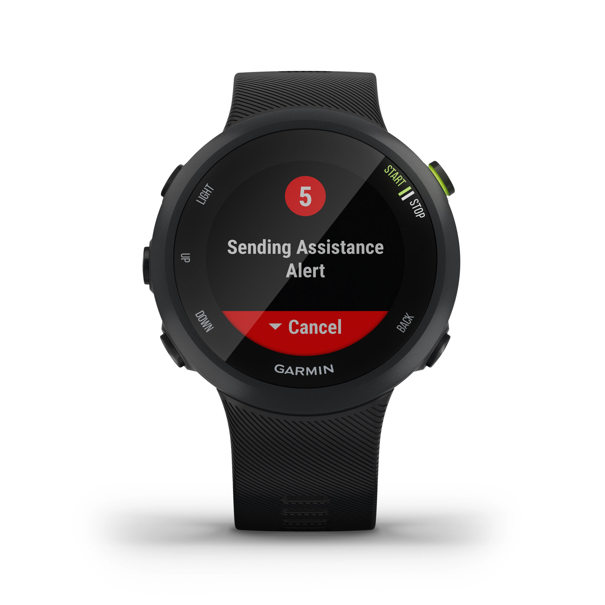 forerunner 45 large