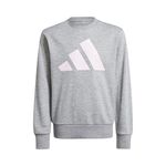 adidas Essentials Sweatshirt