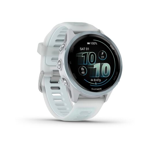 Garmin