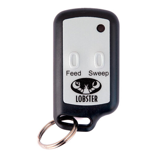 Lobster