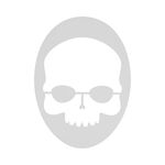 Prince Schlägerzubehör Prince Skull Stencil Logoschablone-Weiß