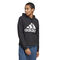 Big Logo Hoody