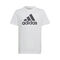 Essentials Big Logo Cotton T-Shirt