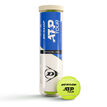 Dunlop