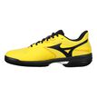 Mizuno