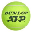 Dunlop