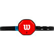 Wilson