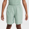 Dri-Fit Shorts