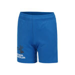 Under Armour Bekleidung Under Armour Tech Logo Shorts Jungen-Blau