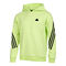 Future Icon 3 Stripes Hoody