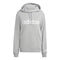 Essentials Linear Hoodie